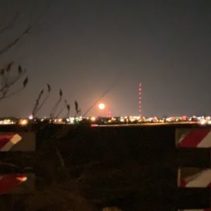 Meet your Posher, Griffin